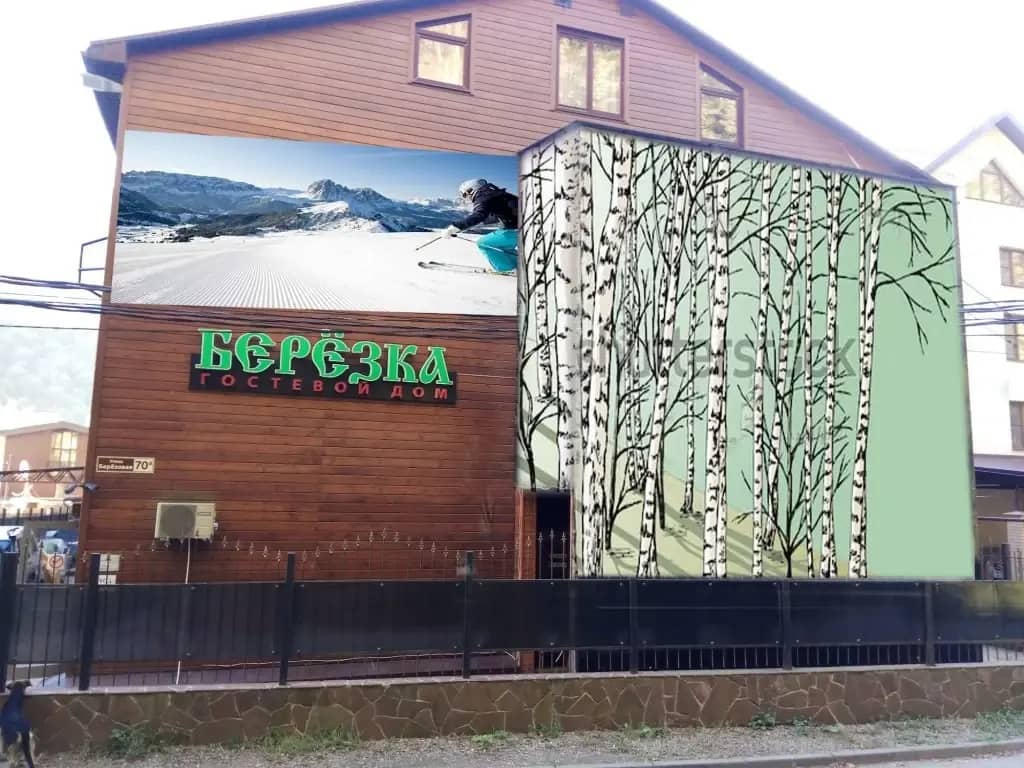 Березка: фото 6