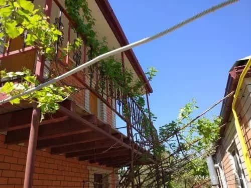 Solniechnyi Sviet Guest House: фото 4