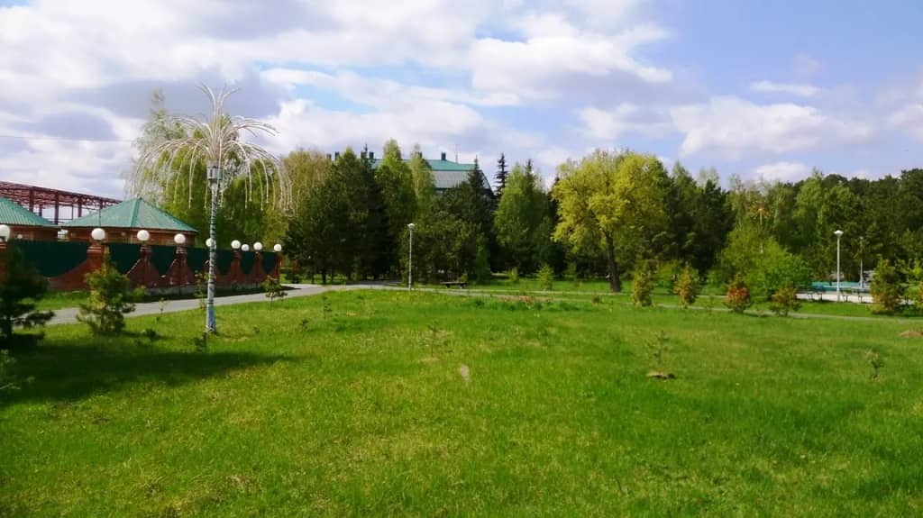 Сосновый бор (Ялуторовск): фото 6