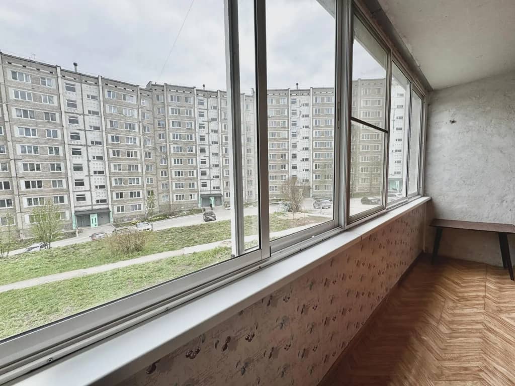 Барбарис на улице Мира 56: фото 6