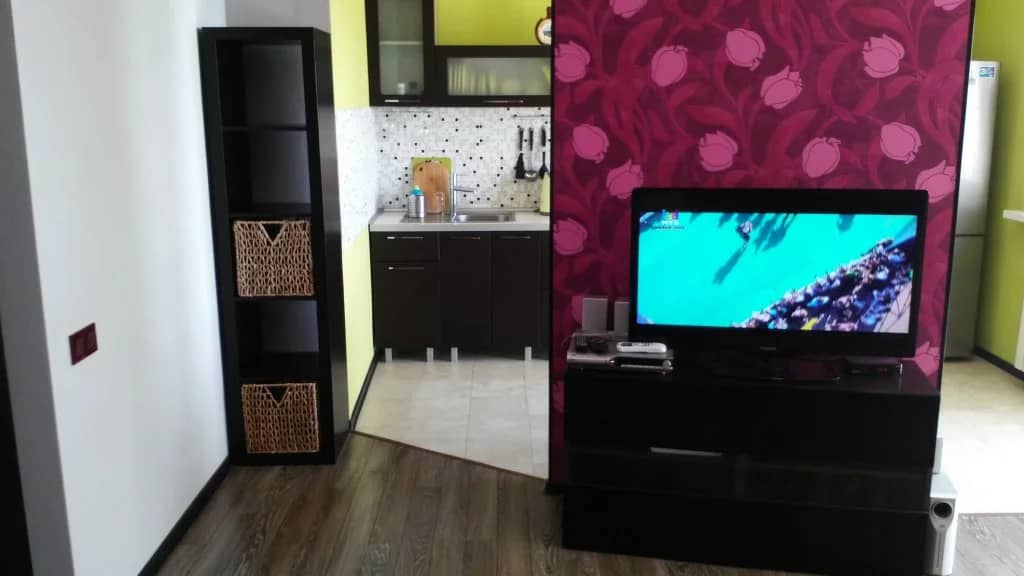 Sochi Sunny Apartment: фото 4