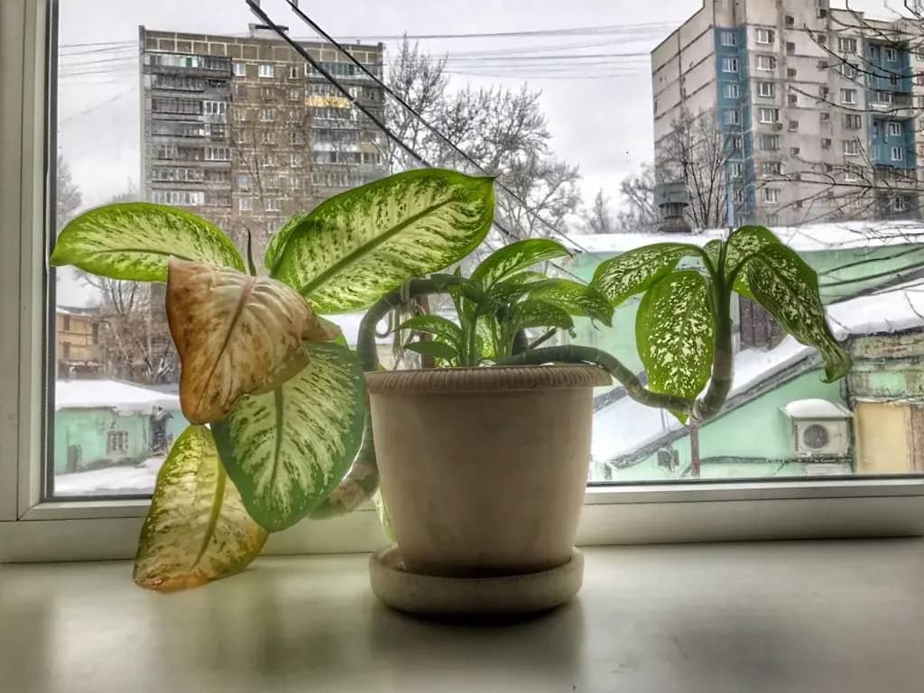 Меблированные комнаты Долина: фото 6