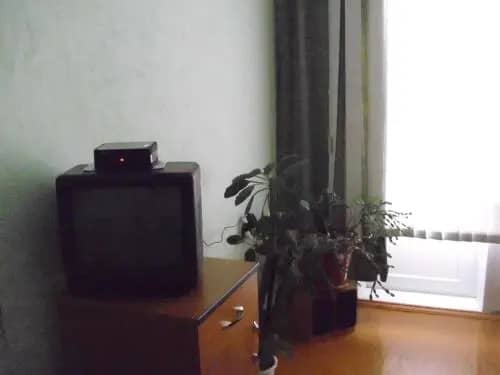 Homestay Gagarina 17: фото 4