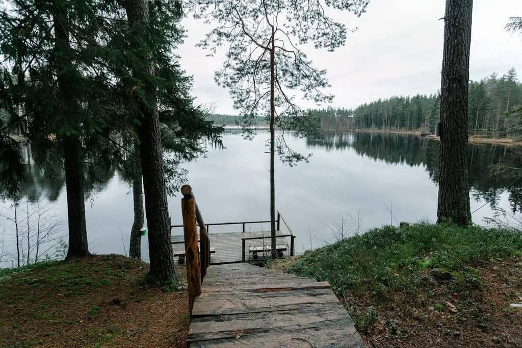 База отдыха Лесная Обитель: фото 6