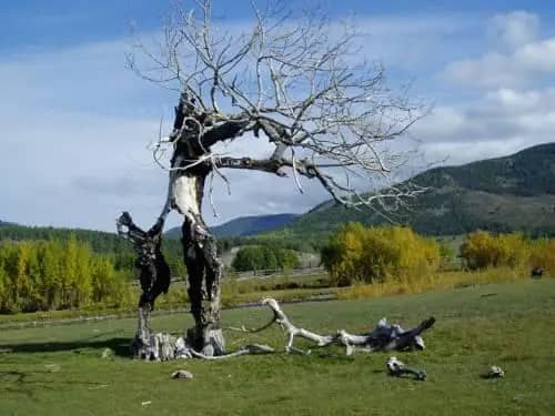 База Отдыха Фактория: фото 6