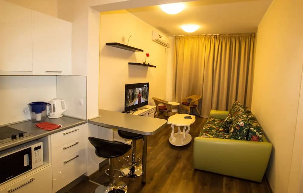 Fenix Deluxe Apartment on Triumfalnaya 12-4: фото 4