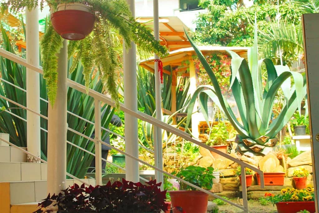 Valentina Guest House: фото 7
