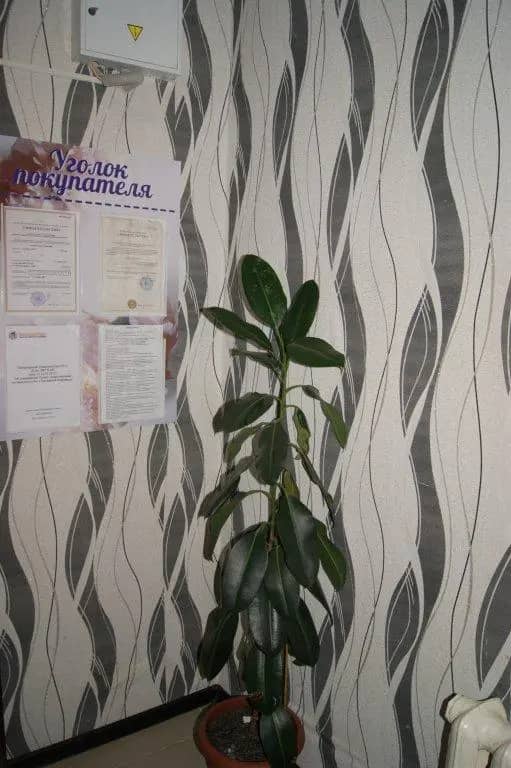 Hostel Druzhba: фото 4