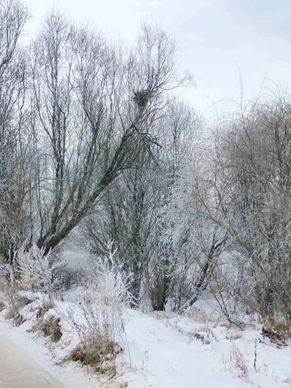 Побег из квартиры: фото 5