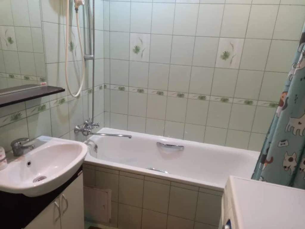 Aday Apartments (Эдэй Апартаменты) на улице улица Карла Маркса 72/21: фото 6