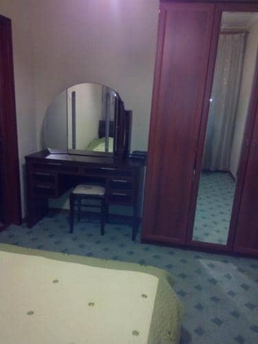 Guesthouse Gus'-Khrustal'nyy: фото 7