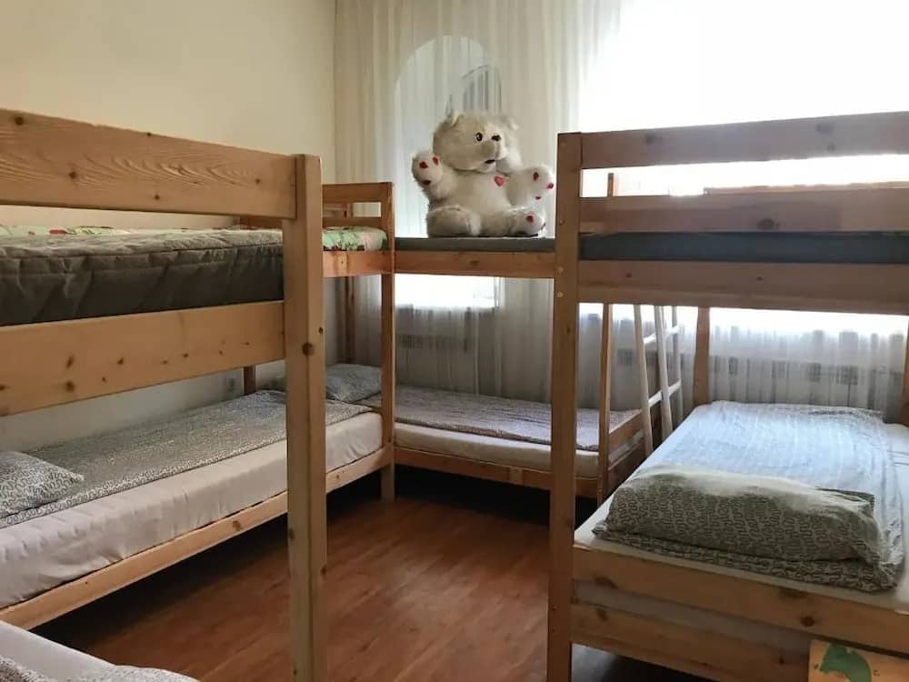 New Life Hostel 2 on Glinka: фото 6