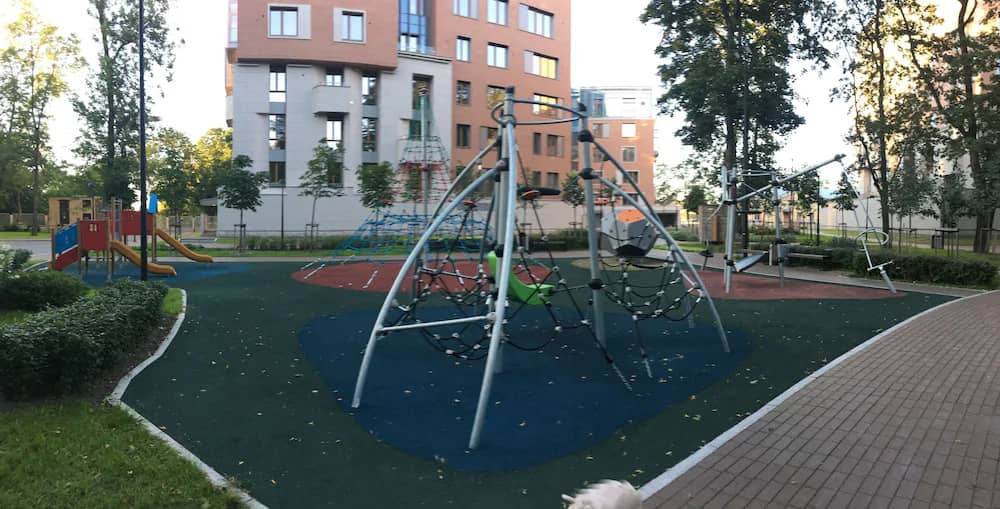 Апартаменты в ЖК «Смольный парк»: фото 6