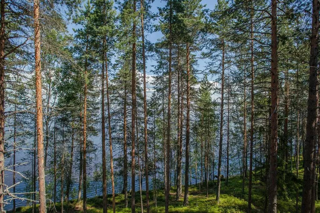Туристский центр Радуга : фото 6