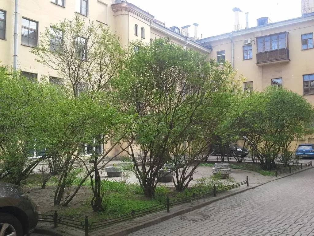 Laweran Nevsky 96: фото 6