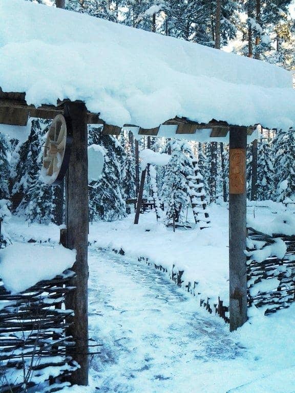 Shishki na Lampushke - Shvedskaya Laplandiya: фото 7