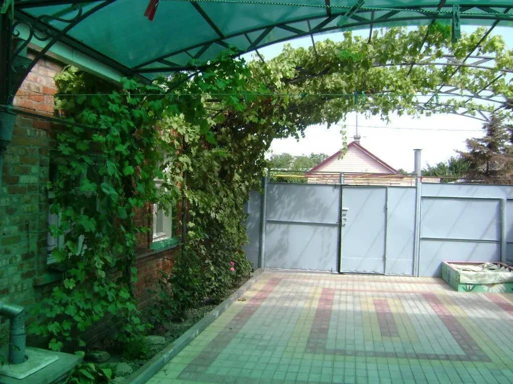 Guest House Baron: фото 4