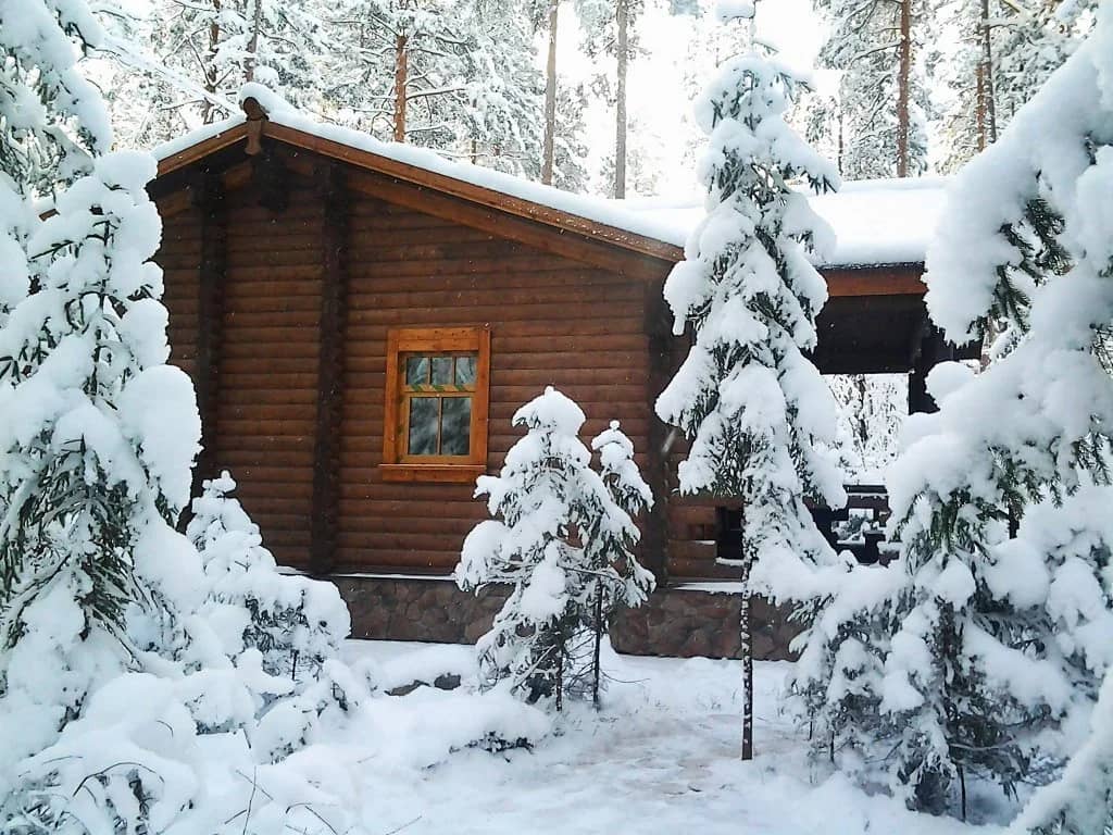 Shishki na Lampushke - Shvedskaya Laplandiya: фото 4