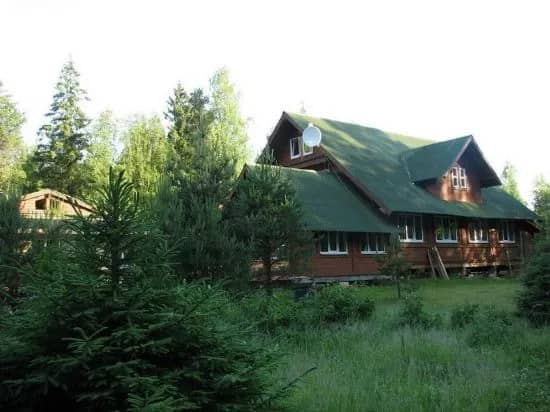 Lesnaya Baza Shishki: фото 5
