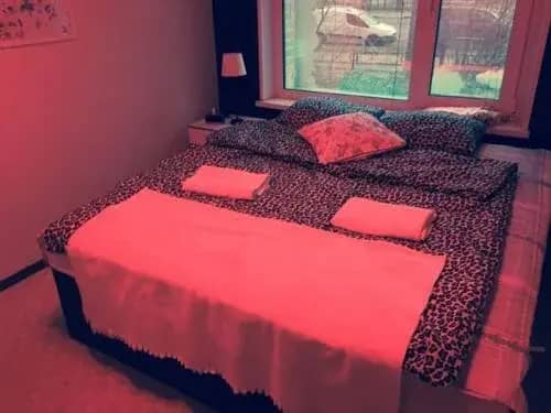 Love Hotel Flamingo: фото 4