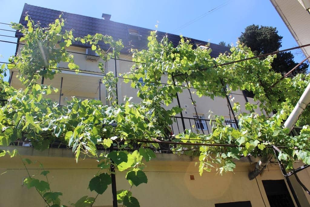 Guest House Semeiniy: фото 4