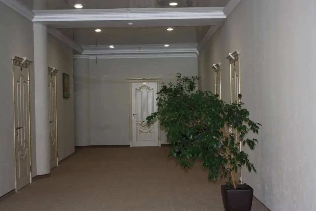 Yuzhnaya Stolitsa Hotel: фото 5