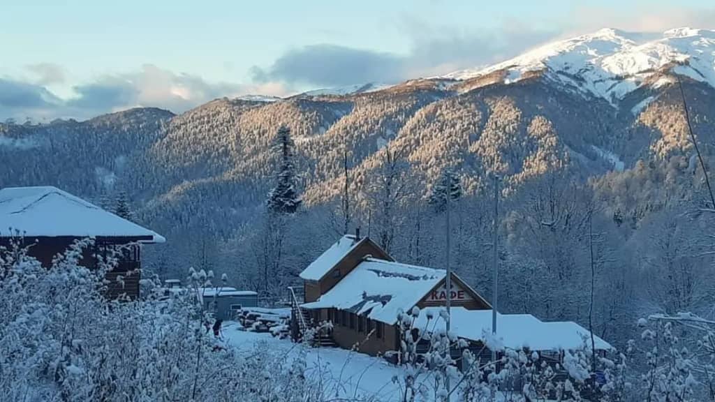 Панорама: фото 4