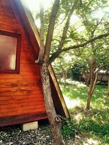 Guest House Svetlana: фото 7