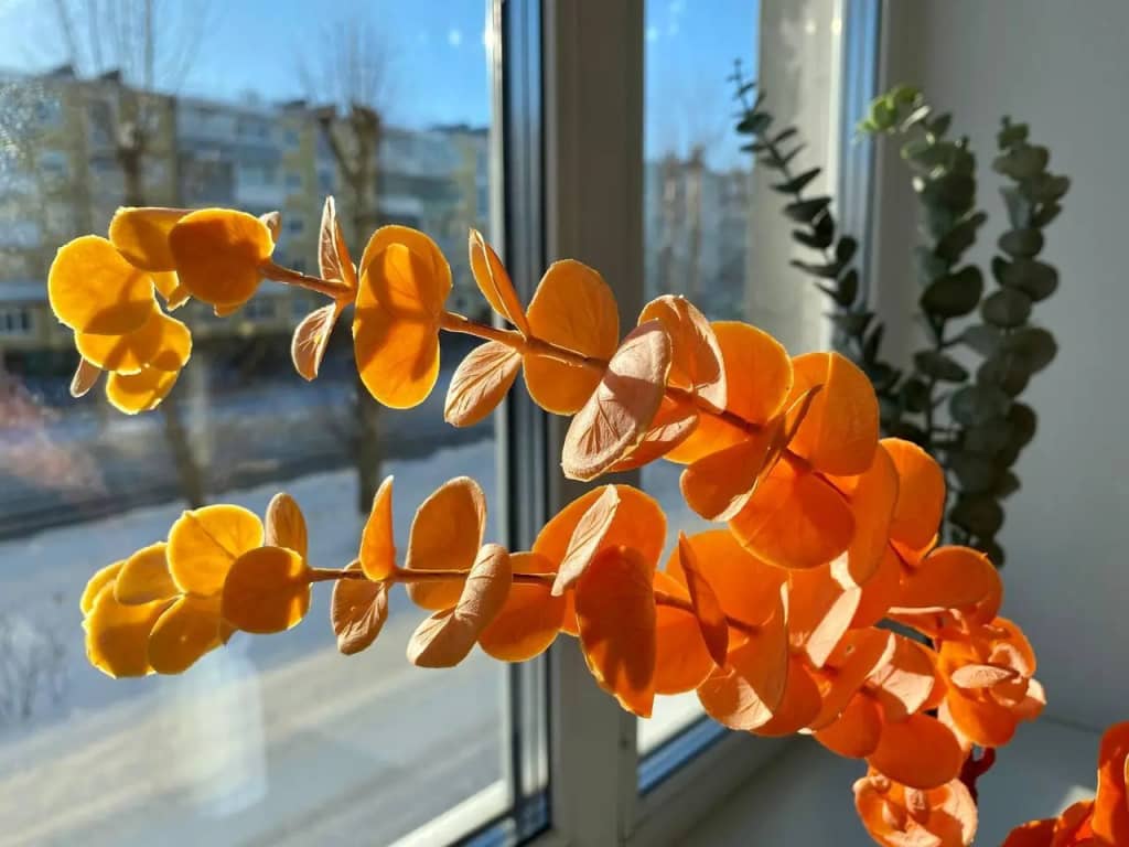 SeveRent (СевеРент) на улице Карла Маркса 26: фото 5