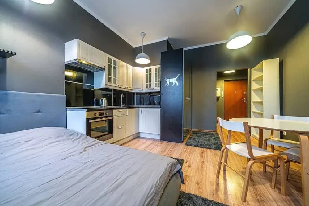 Апартаменты Loft Petrograd 2: фото 4
