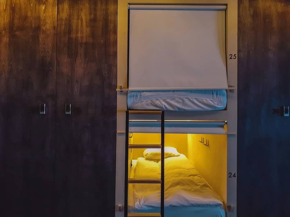 Botanist Hostel: фото 4