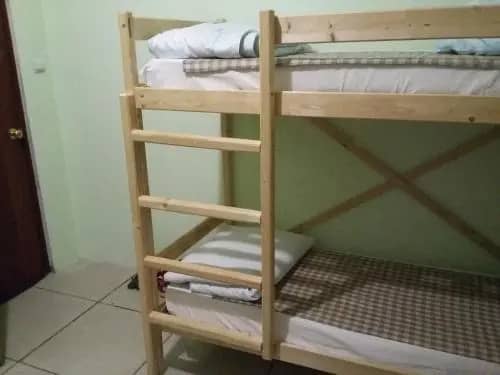 GreenWood Hostel: фото 4