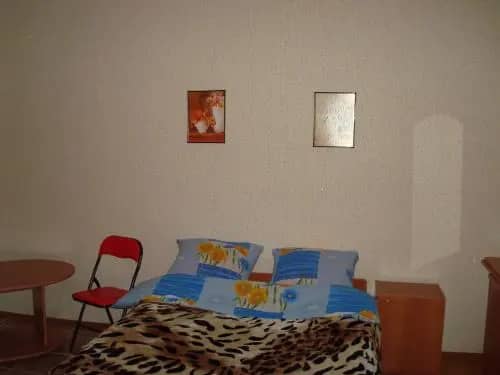 Mini hotel Petrovski: фото 4