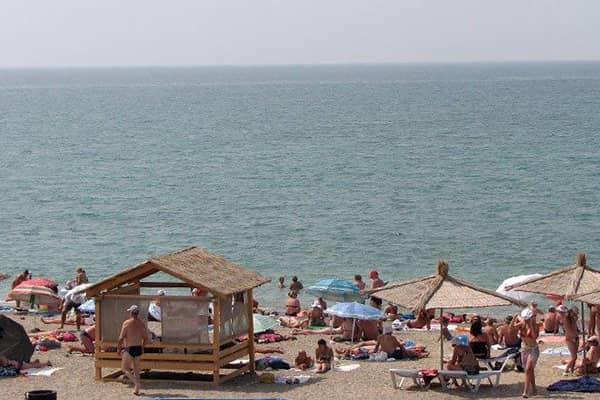 Золотая рыбка (Саки): фото 7