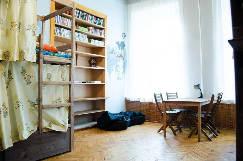 Kot MatroskINN na Maloy Morskoy: фото 5