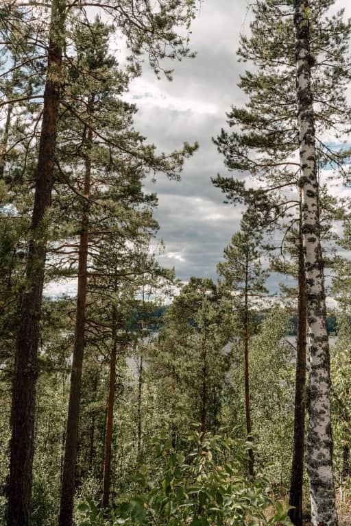 Villy Uley Karelia (Вили Улей Карелия): фото 7
