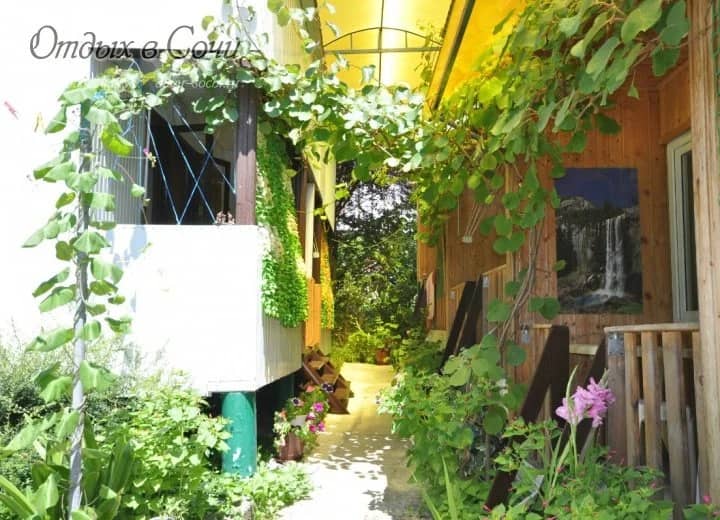 V Sochi Guest House: фото 7