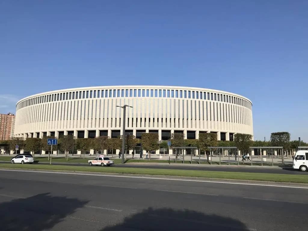 Тис: фото 6