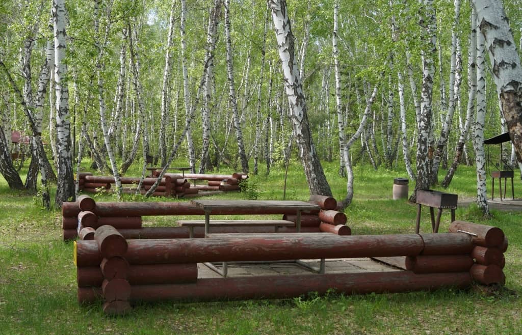 Колос (Омск): фото 4