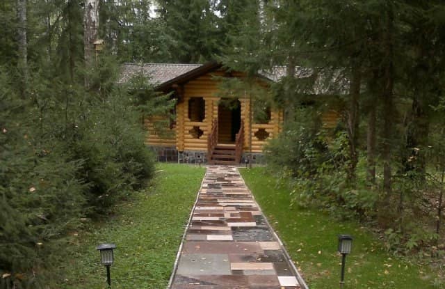 Березовая роща: фото 7
