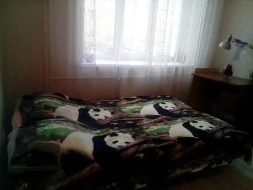 Меблированные комнаты Homestay on Chistopolskaya 82: фото 4