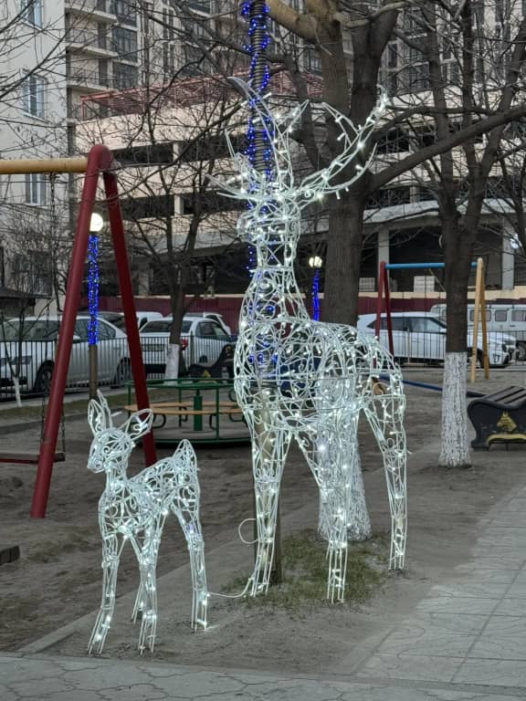 Апартаменты на улице Нежнова 21/4: фото 5