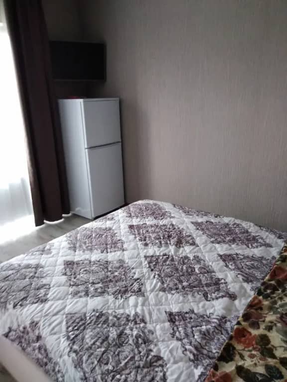 Гостиничный дом на Мичурина: фото 4