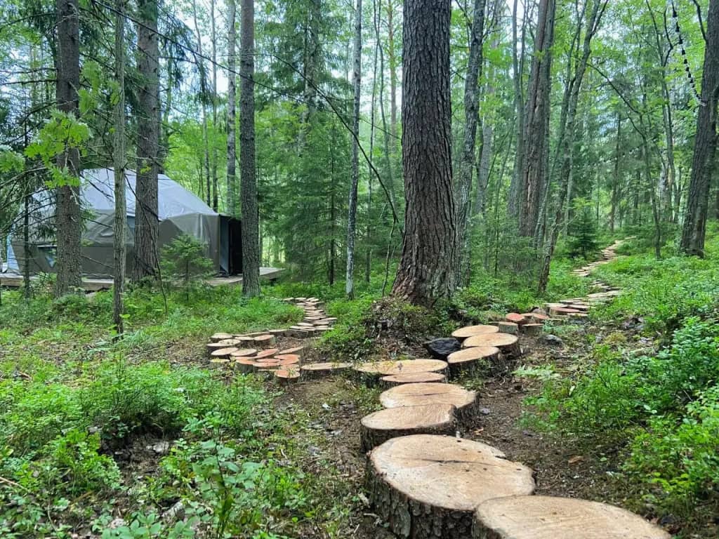 Villy Uley Karelia (Вили Улей Карелия): фото 4