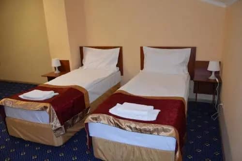 Davidov Inn: фото 7