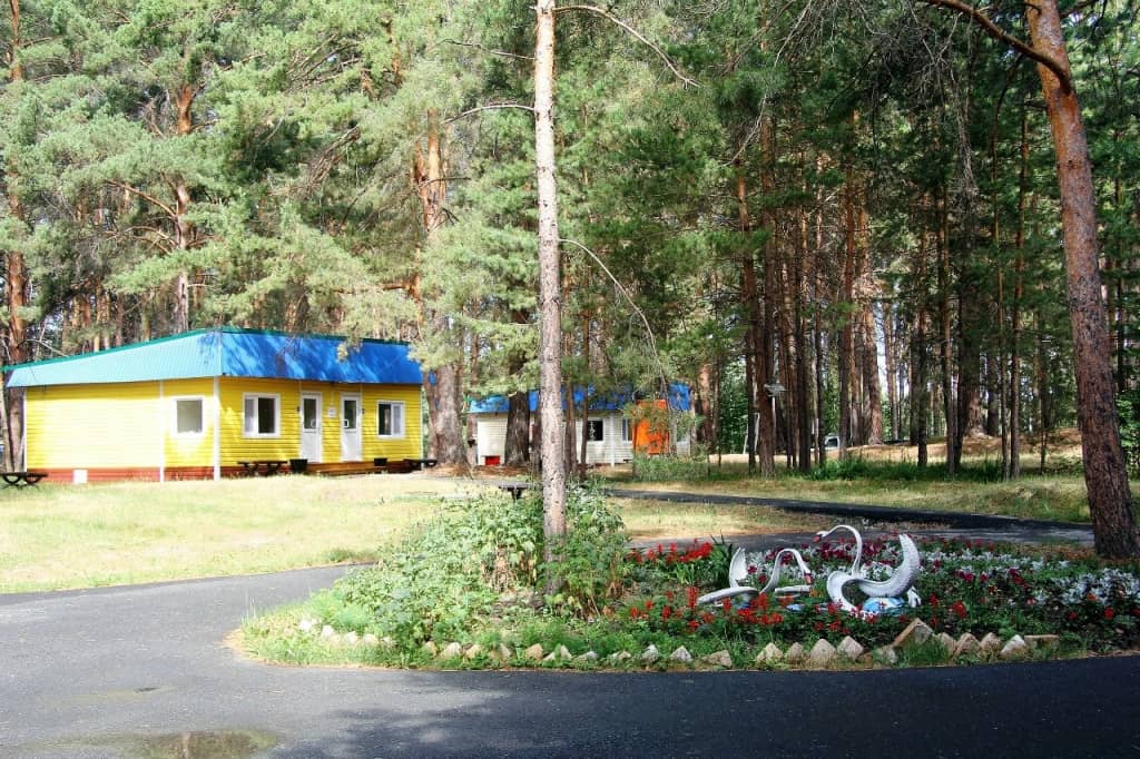 Сосновый бор (Ялуторовск): фото 7