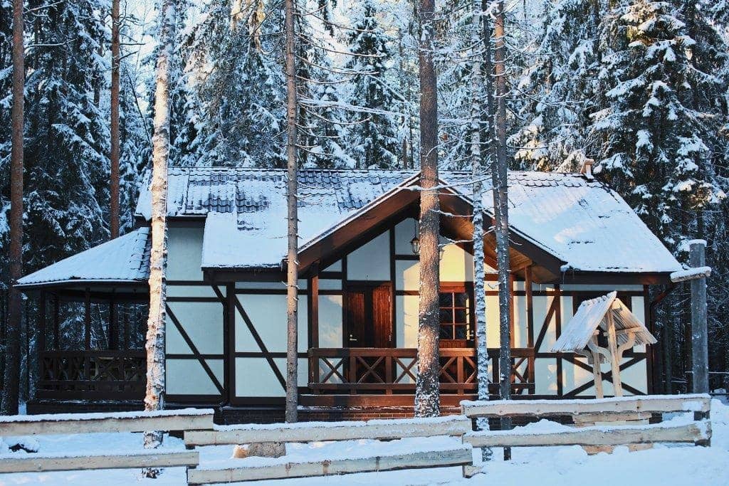 Shishki na Lampushke - Shvedskaya Laplandiya: фото 5