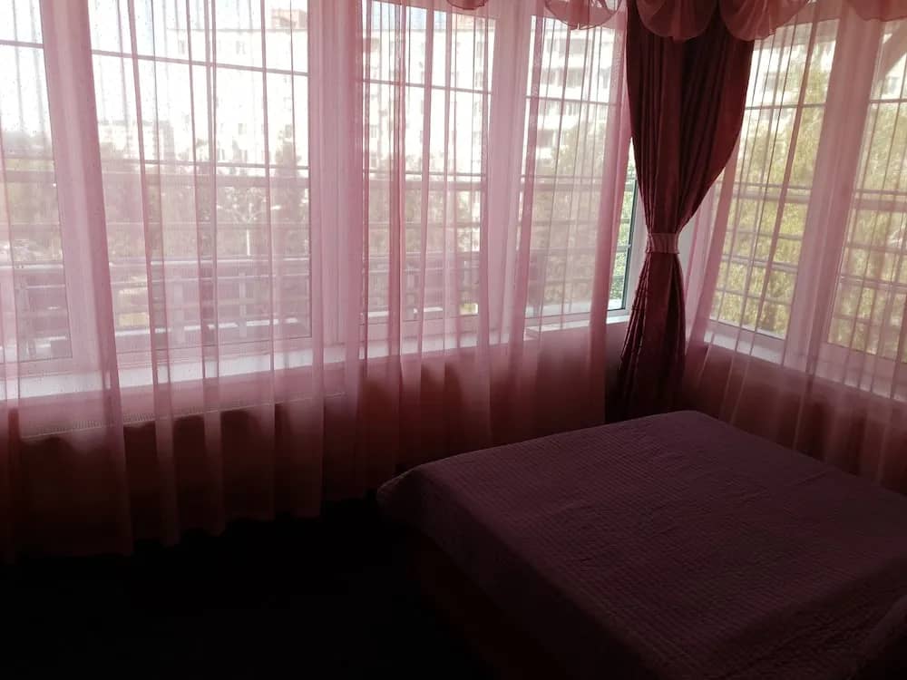 Allians Hotel Vidnoe: фото 4