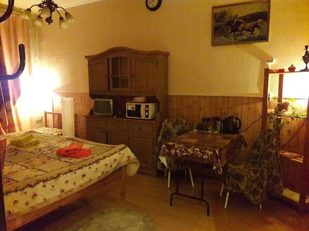 Mini-hotel na Khoroshevke: фото 5