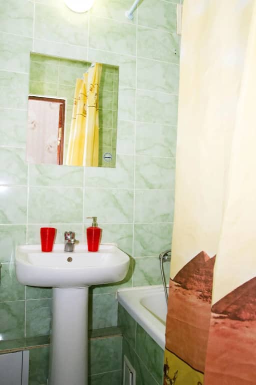 RENT-service on the Irtysh embankment 15B: фото 7